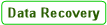 Data Recovery